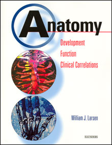 Anatomy: Development, Function, Clinical Correlations
